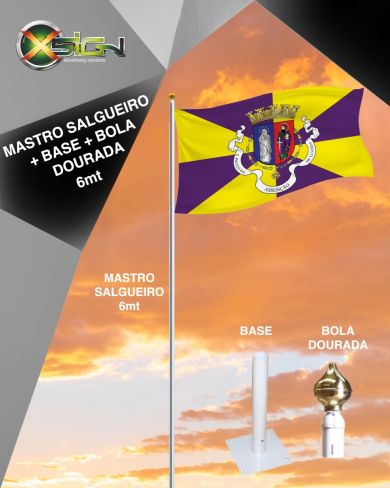 BN08.09